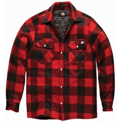 Dickies - Camisa canadiense Portland para hombre