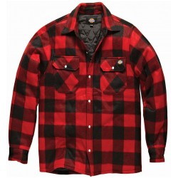 Dickies - Chemise canadienne Portland homme